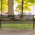 bench in gibson park